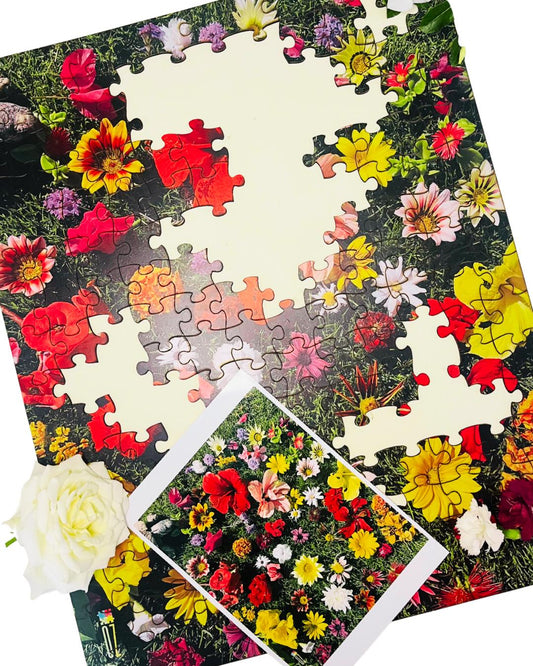 Spring Puzzle