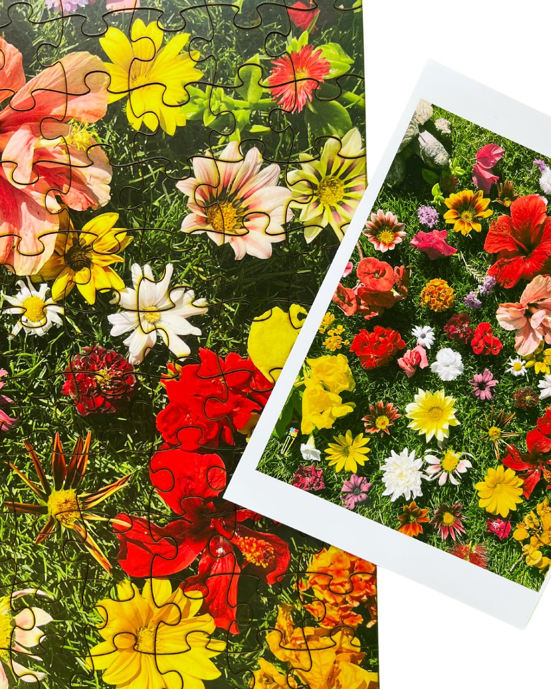 Springz Puzzle