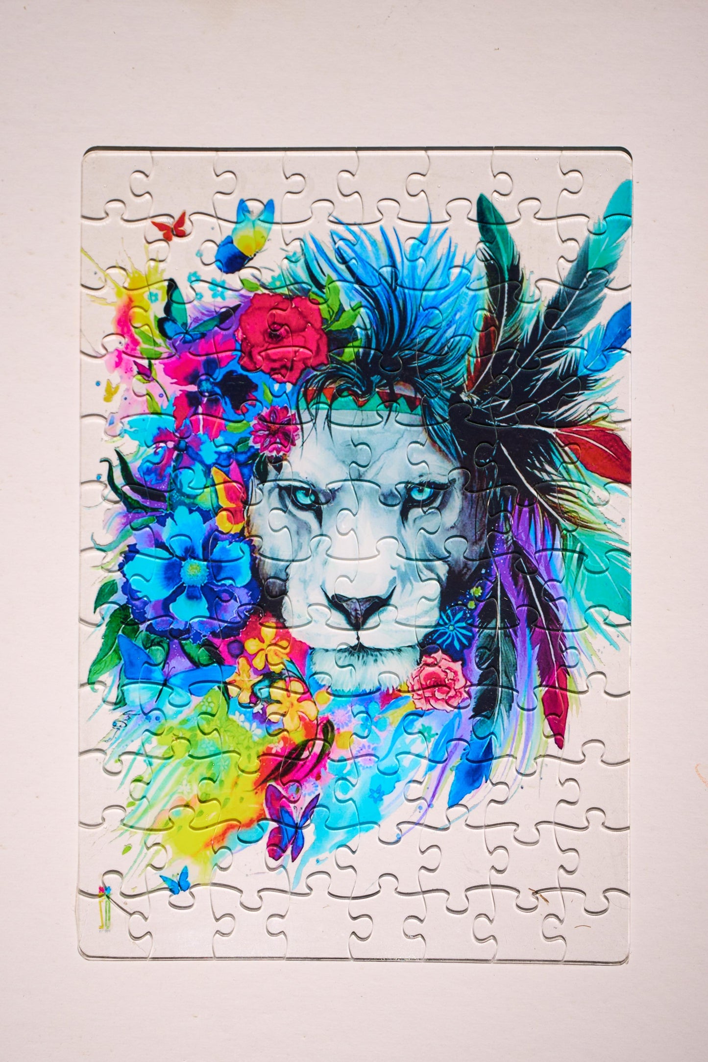 Paint your Dreams