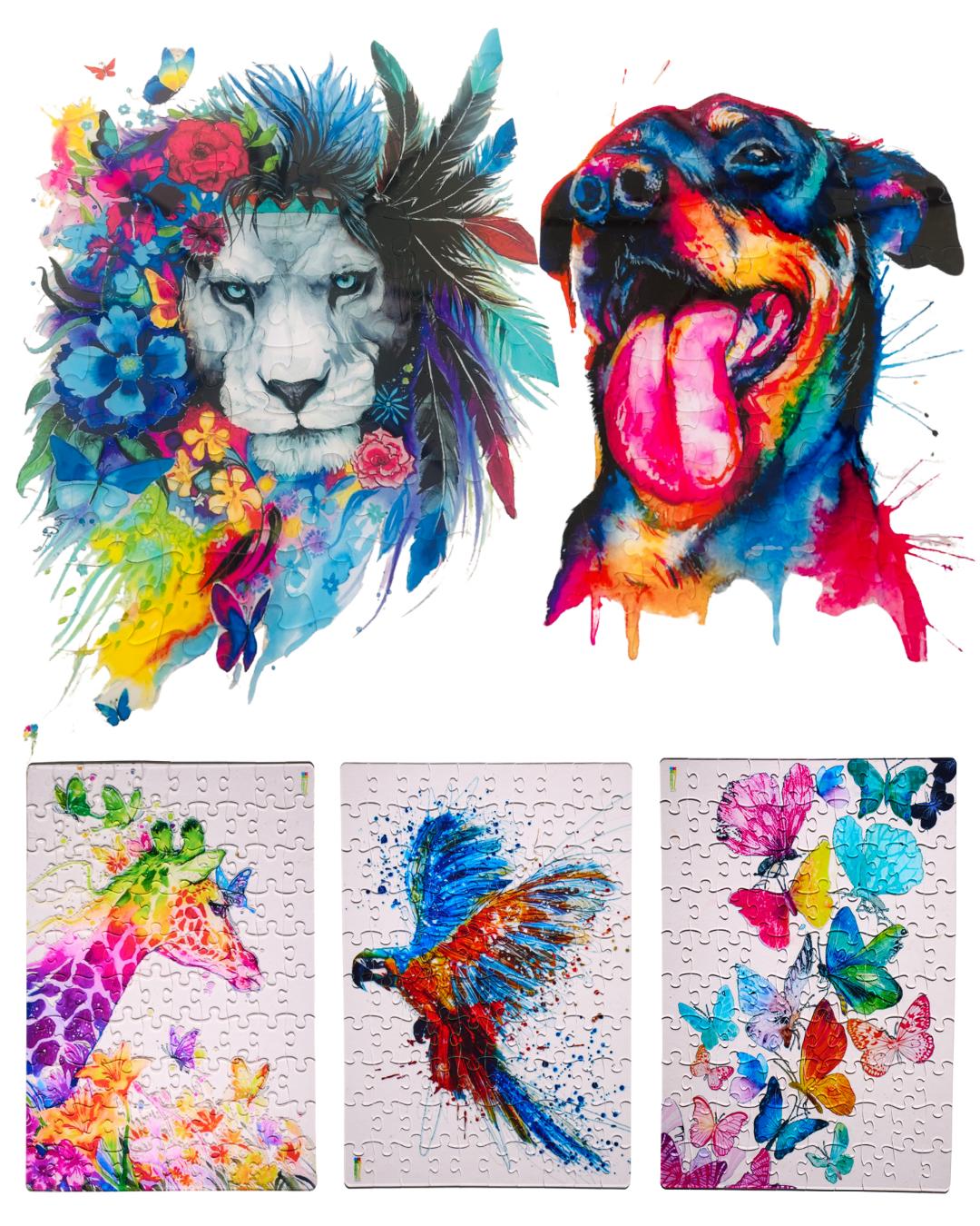 Paint your Dreams